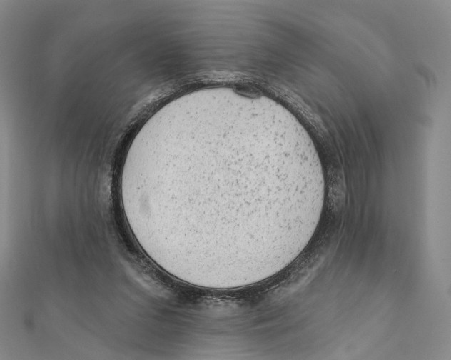 X0000112060207200909011009