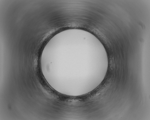 X0000112060208200909011009