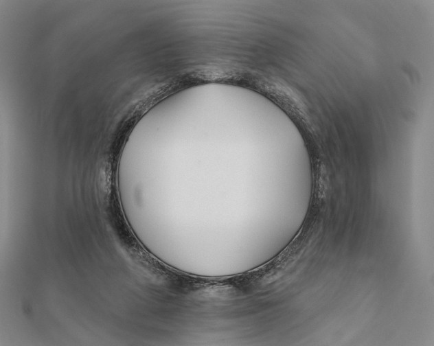 X0000112060210200909011009