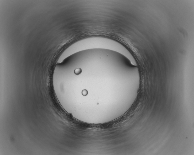 X0000112060211200909011009
