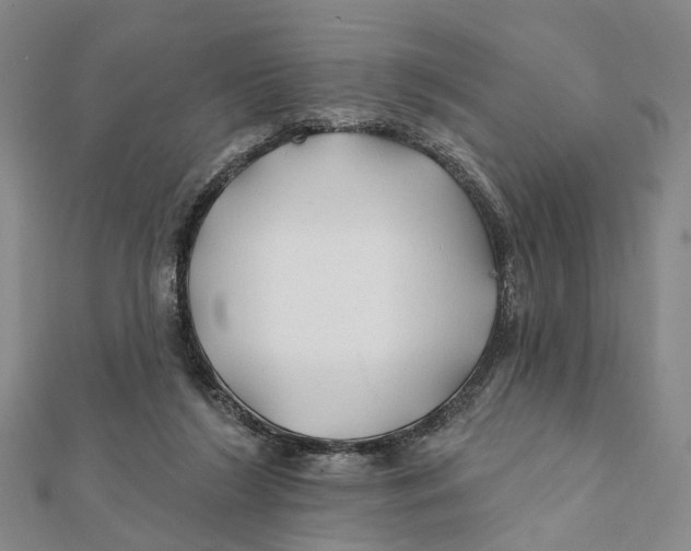 X0000112060212200909011009