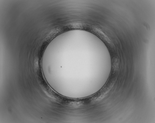 X0000112060213200909011009