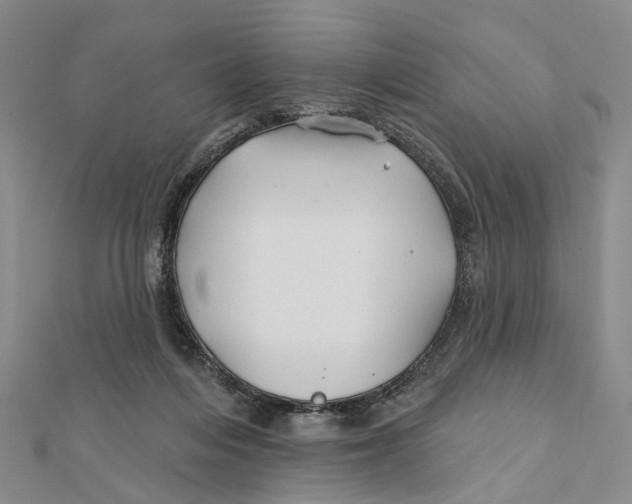 X0000112060216200909011009