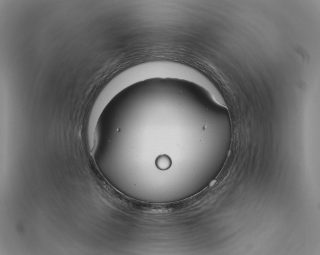 X0000112060217200909011009