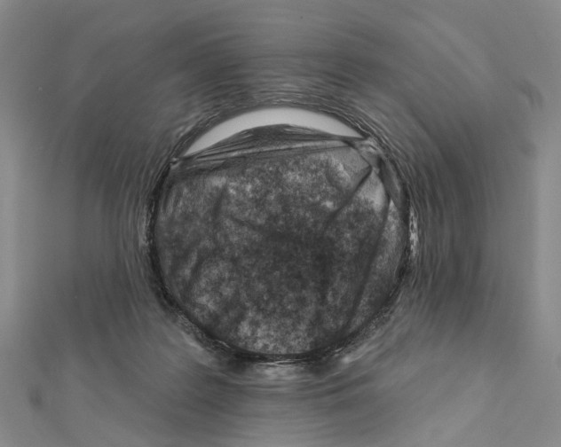 X0000112060219200909011009