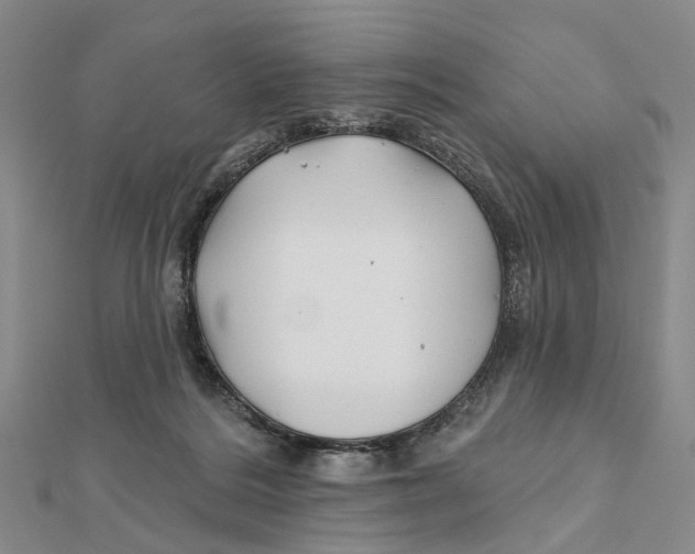 X0000112060220200909011009