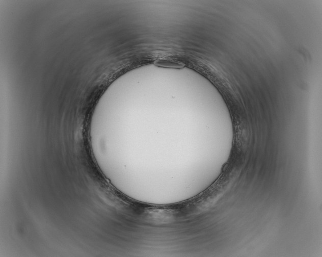 X0000112060221200909011009