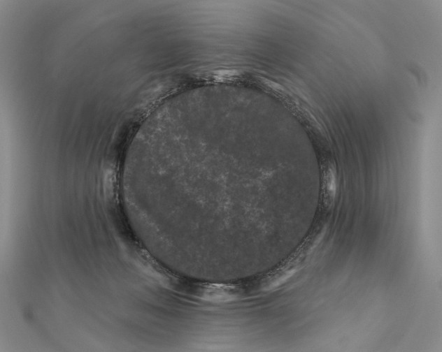 X0000112060222200909011009