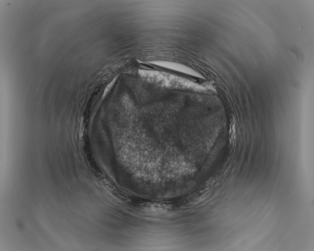 X0000112060223200909011009