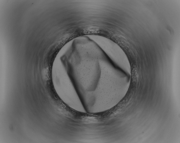 X0000112060224200909011009