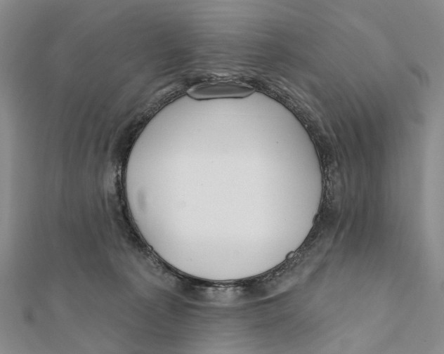 X0000112060225200909011009