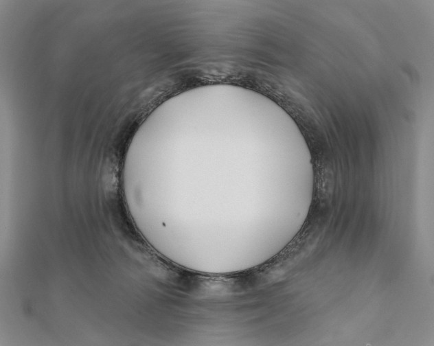 X0000112060226200909011009
