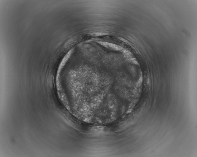 X0000112060227200909011009