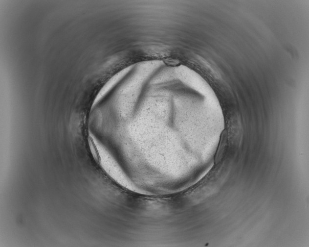 X0000112060229200909011009