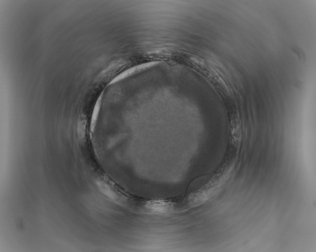X0000112060231200909011009