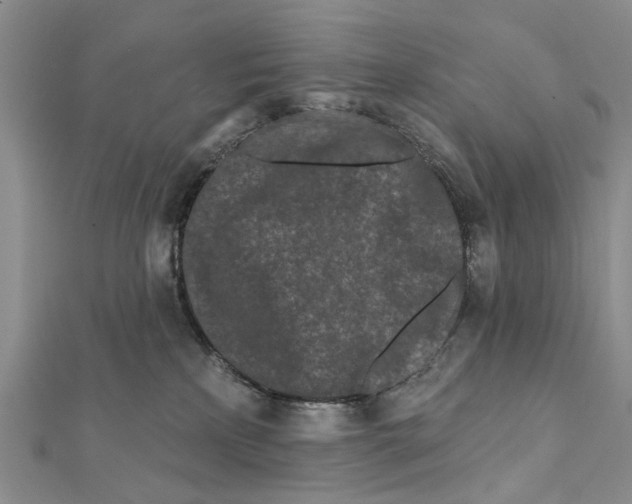 X0000112060233200909011009