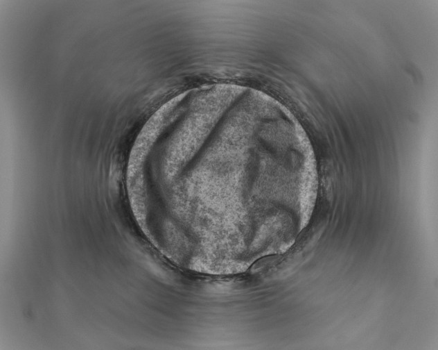 X0000112060235200909011009