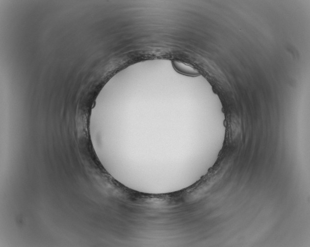 X0000112060236200909011009