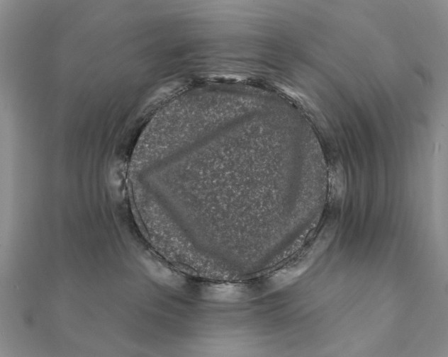 X0000112060237200909011009