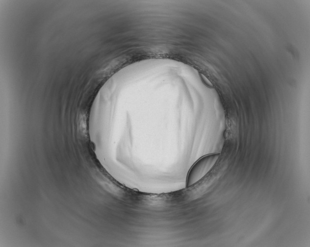X0000112060238200909011009