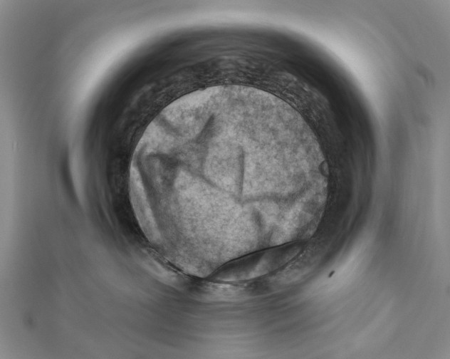 X0000112060239200909011009