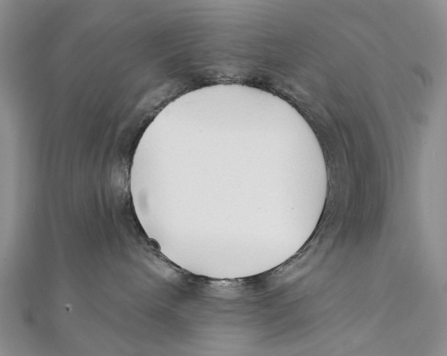 X0000112060240200909011009