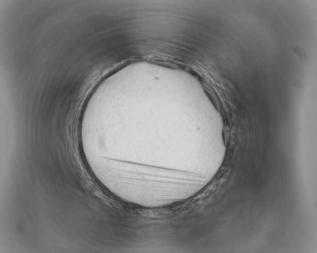 X0000112060241200909011008