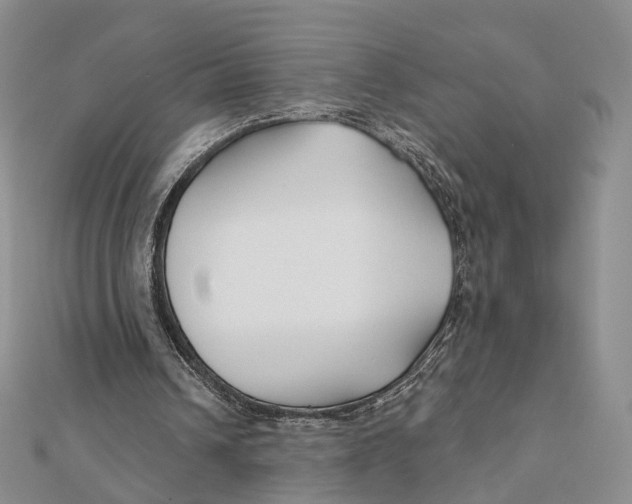 X0000112060242200909011008