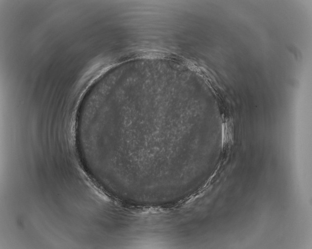 X0000112060243200909011008