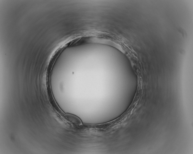X0000112060244200909011008