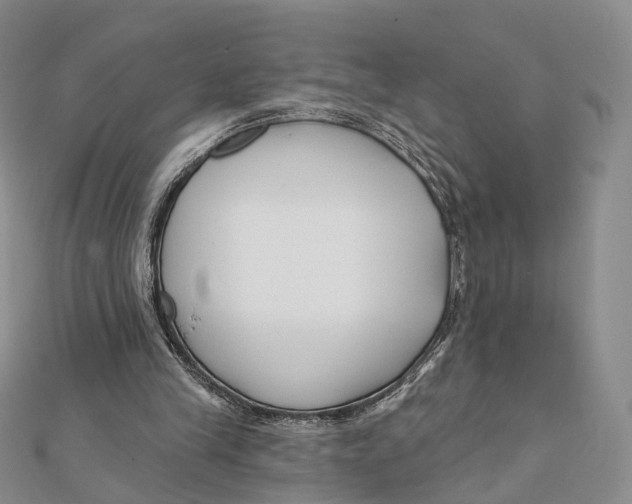 X0000112060245200909011008