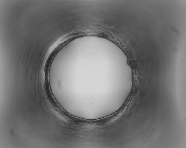X0000112060246200909011008