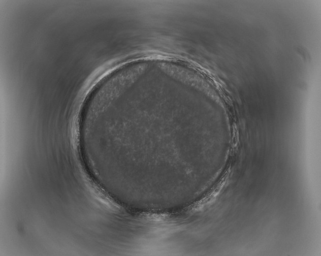 X0000112060247200909011008