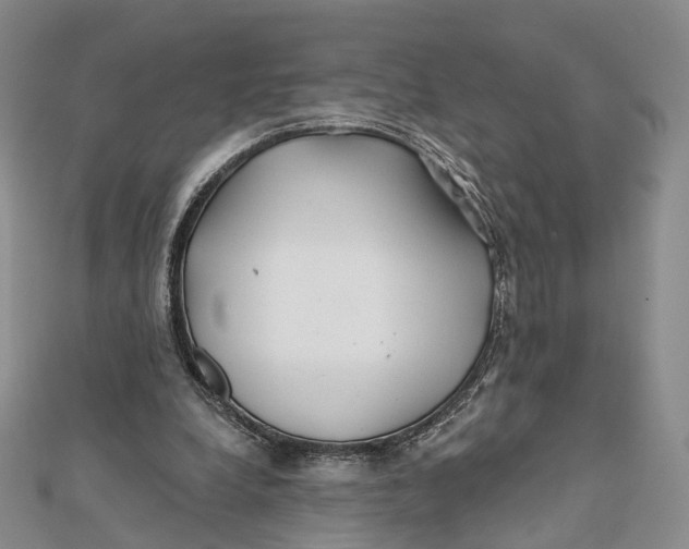 X0000112060248200909011008