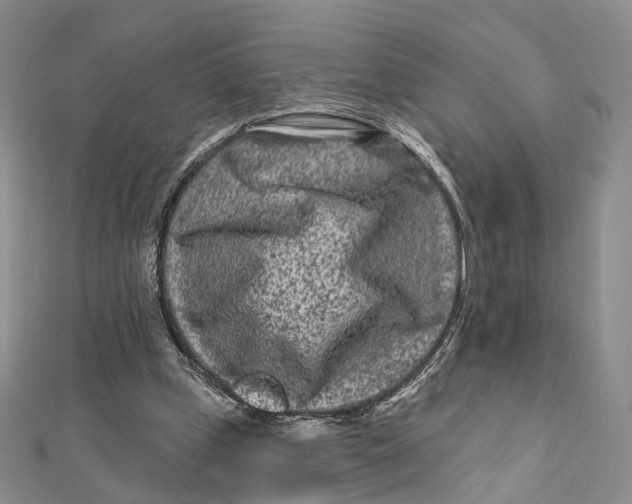 X0000112060249200909011008