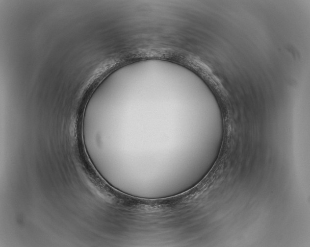 X0000112060250200909011008
