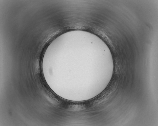 X0000112060251200909011008