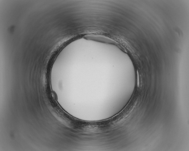 X0000112060252200909011008