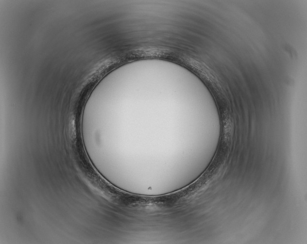 X0000112060254200909011008
