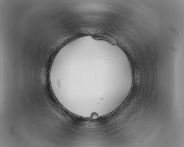 X0000112060255200909011008
