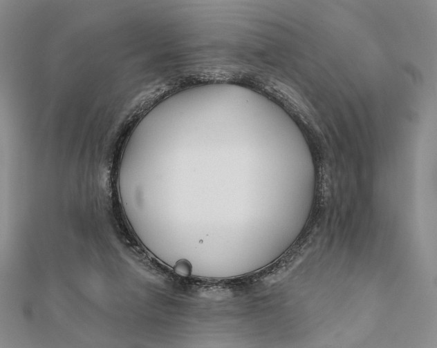 X0000112060258200909011008