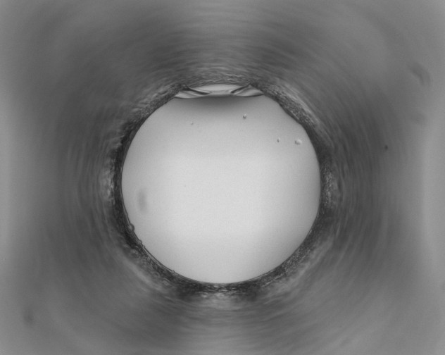 X0000112060259200909011008