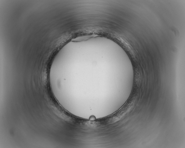 X0000112060261200909011008