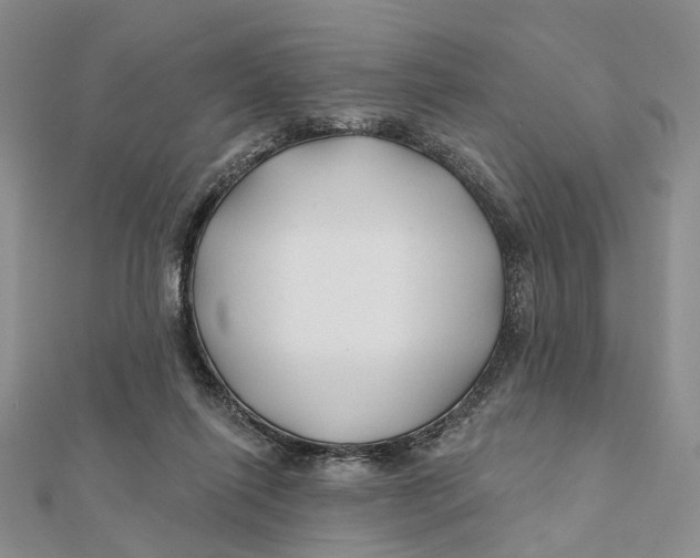 X0000112060262200909011008