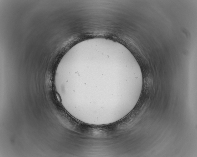 X0000112060264200909011008