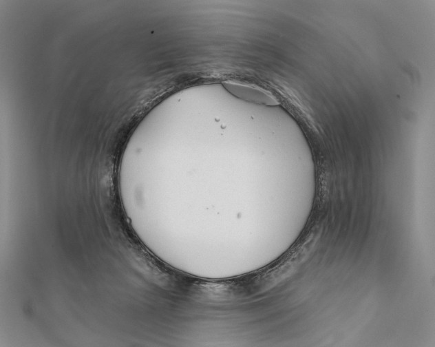 X0000112060265200909011008