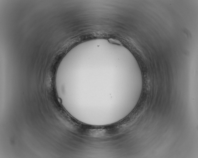 X0000112060266200909011008
