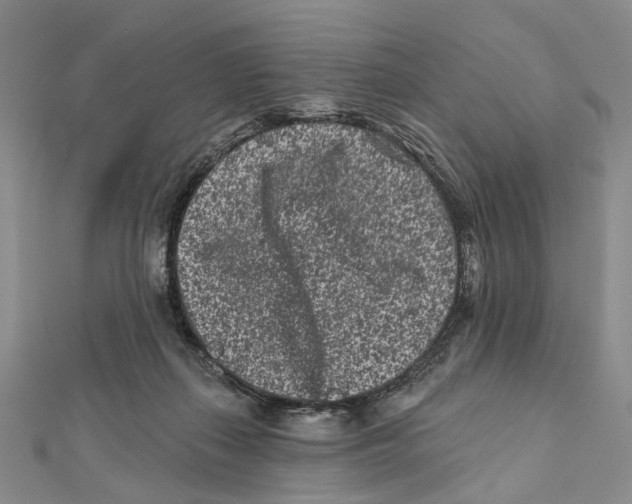 X0000112060267200909011008