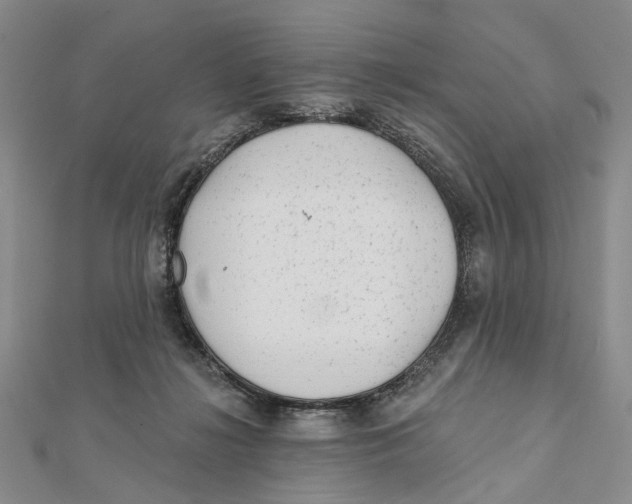 X0000112060268200909011008