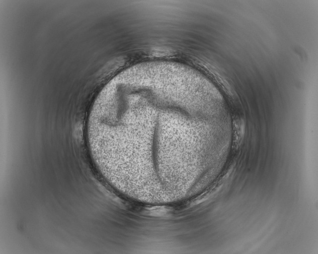 X0000112060269200909011008